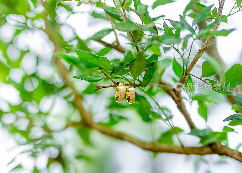 花卉背景的结婚戒指