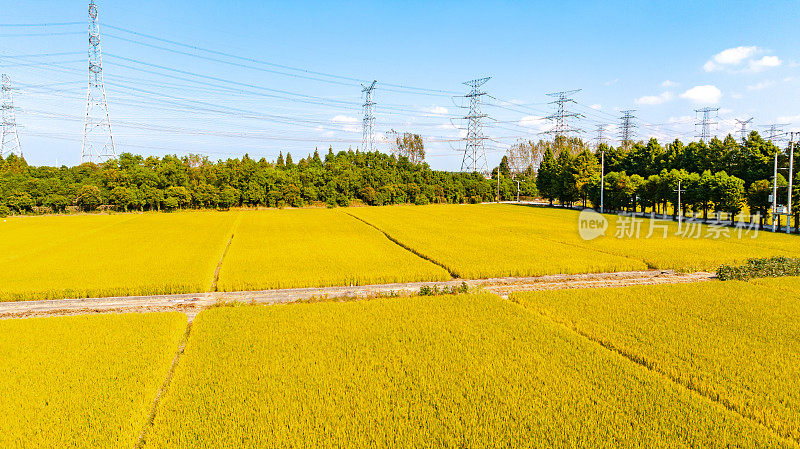 公路上稻田的航拍照片