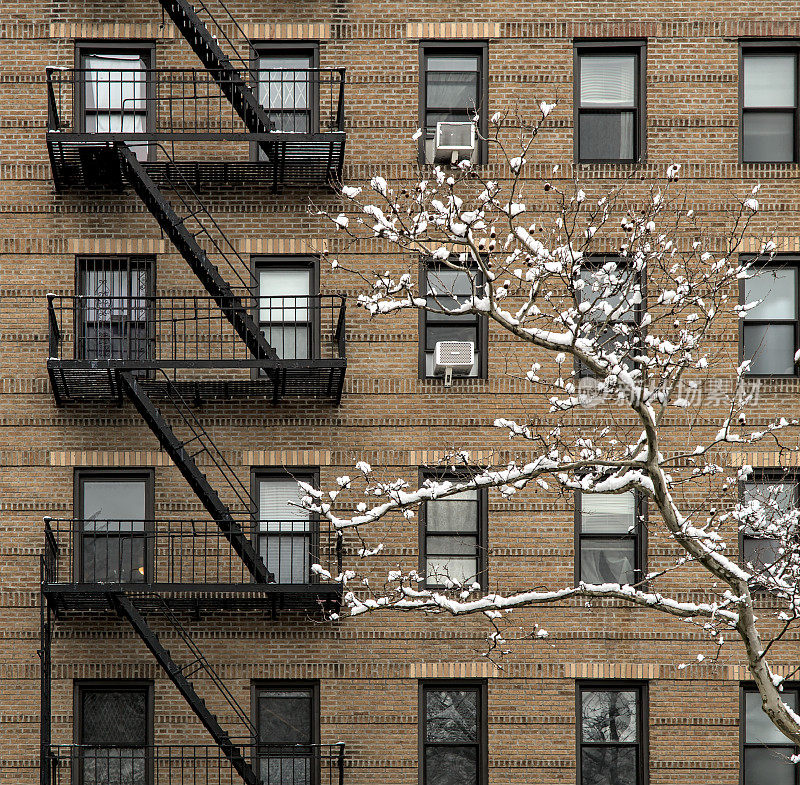 在纽约布鲁克林的冬天，有消防通道和窗户的砖砌公寓楼(高层住宅)前被雪覆盖的树