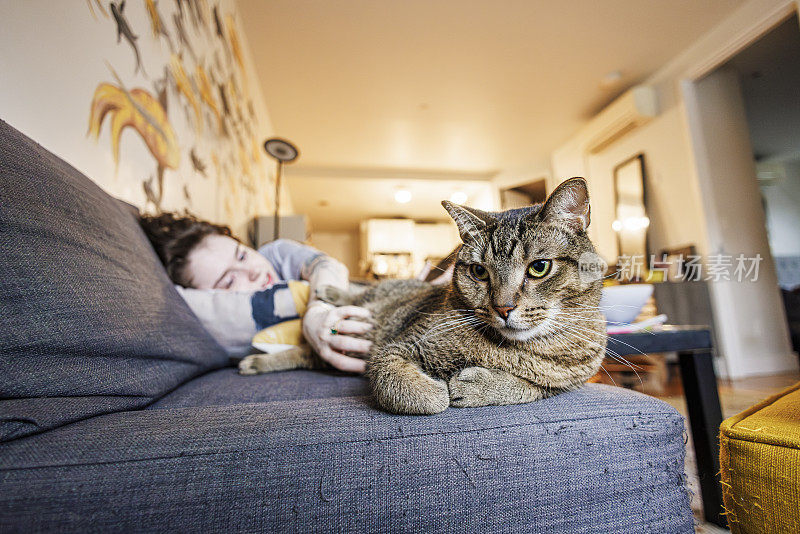 被猫打扰:困倦的女孩醒来，伸手去摸沙发上的猫。