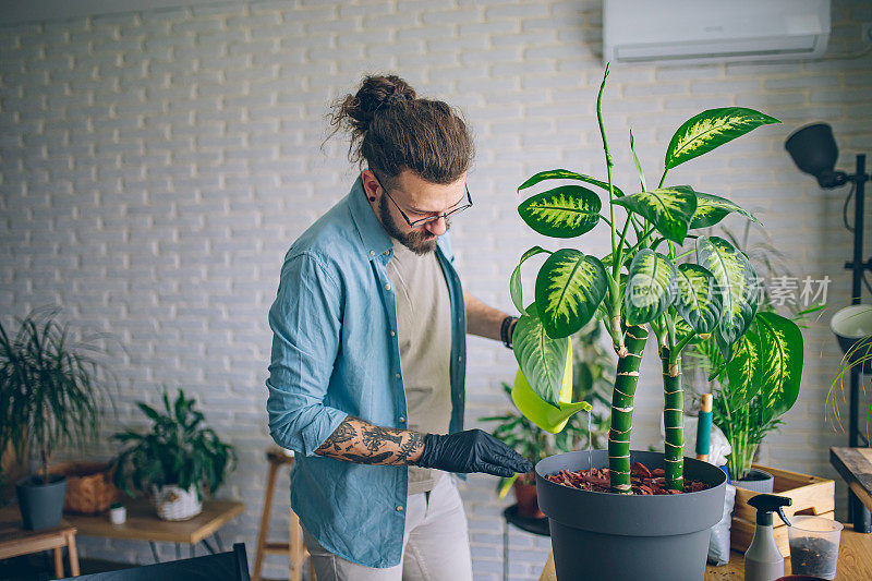 照料室内植物的人