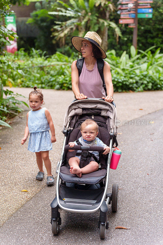 新加坡，一名欧亚妇女推着婴儿车穿过繁忙的植物园