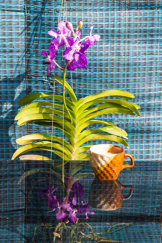 静物咖啡杯白色紫色万达兰花