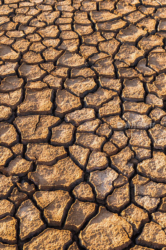 干涸的土地-全球变暖-干燥，干燥的土地