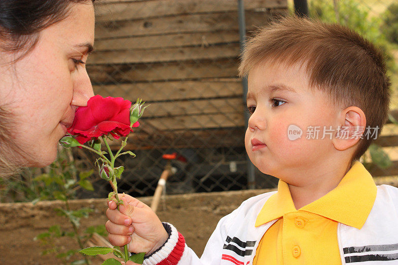 男孩给妈妈送花