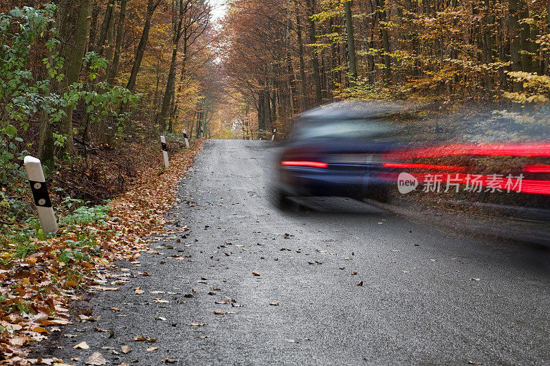 在秋天的森林道路上经过的汽车