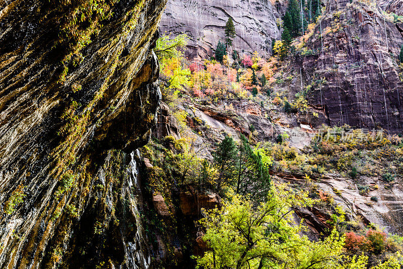 哭泣的岩石，锡安国家公园，犹他州