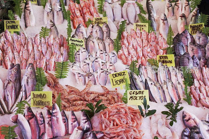 市场上的鲜鱼，陈列在冰上