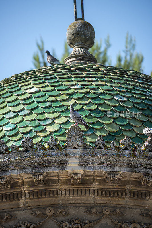 鸽子在绿色的屋顶上