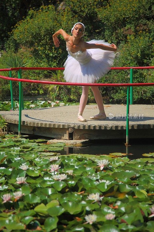 芭蕾舞演员在池塘上跳舞