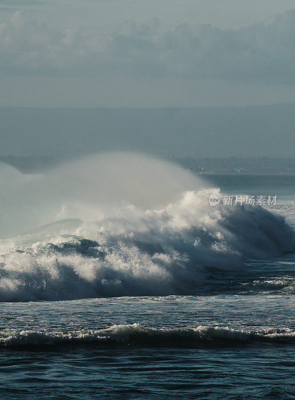 海洋