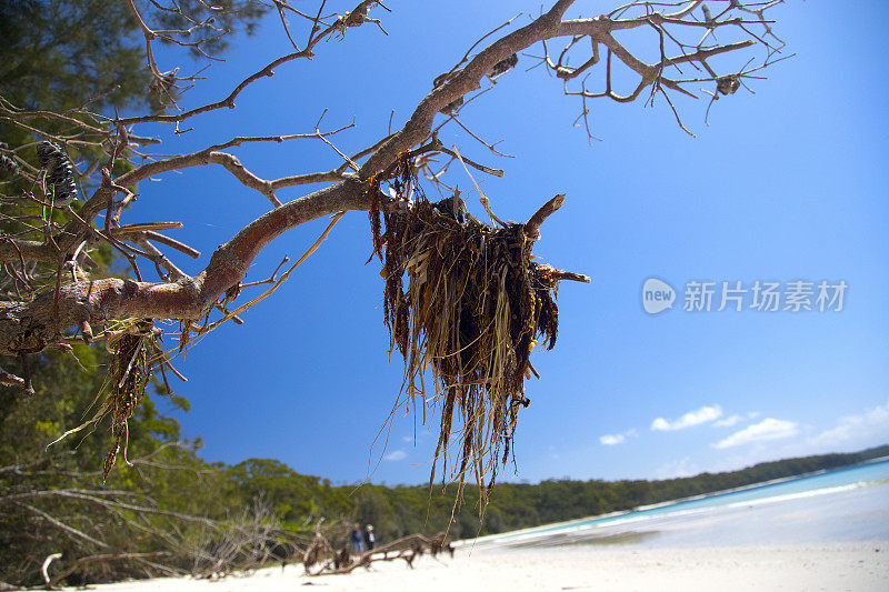 海姆斯海滩