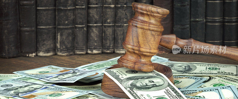 拍卖或审判概念与法官的木槌和金钱堆
