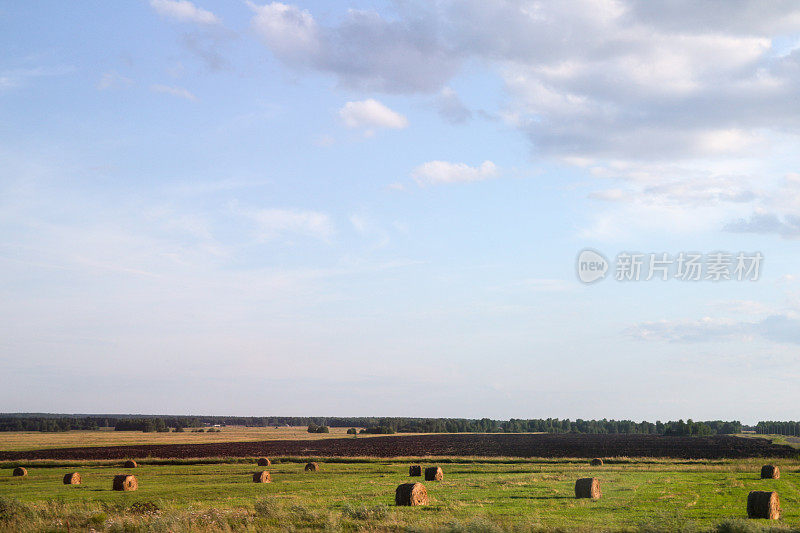 晴空万里，农场晒干草的最佳时间