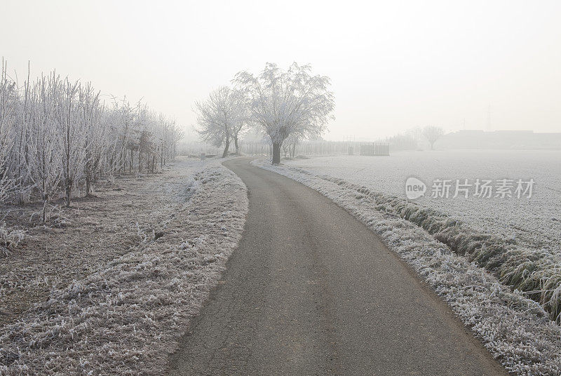 道路穿过意大利皮埃蒙特的冰天雪地