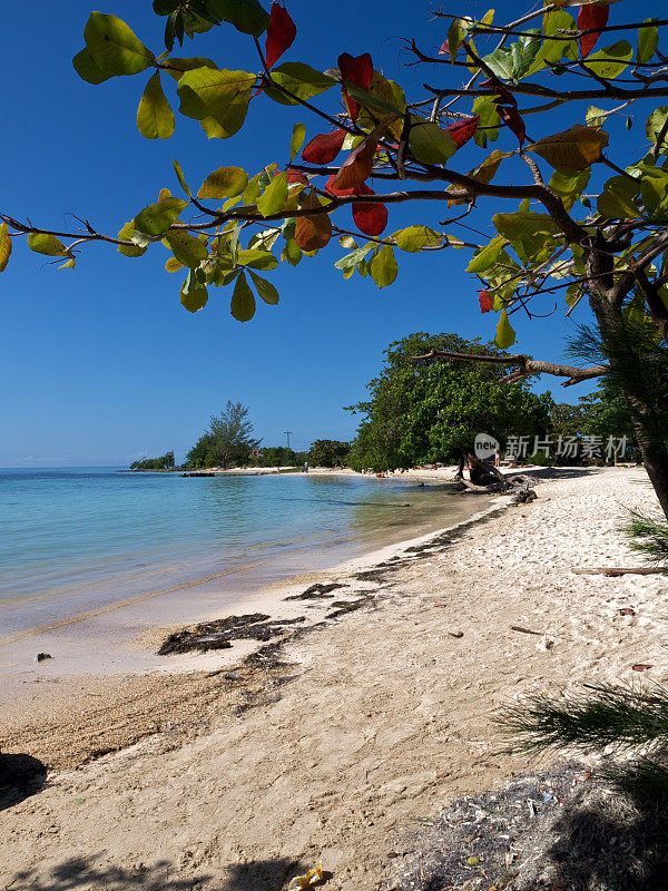 乌提拉岛，海湾群岛，洪都拉斯