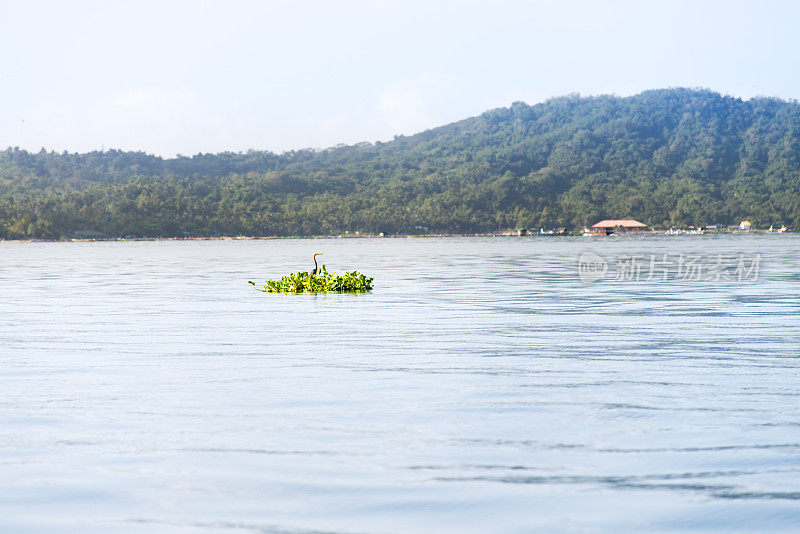 菲律宾的风景