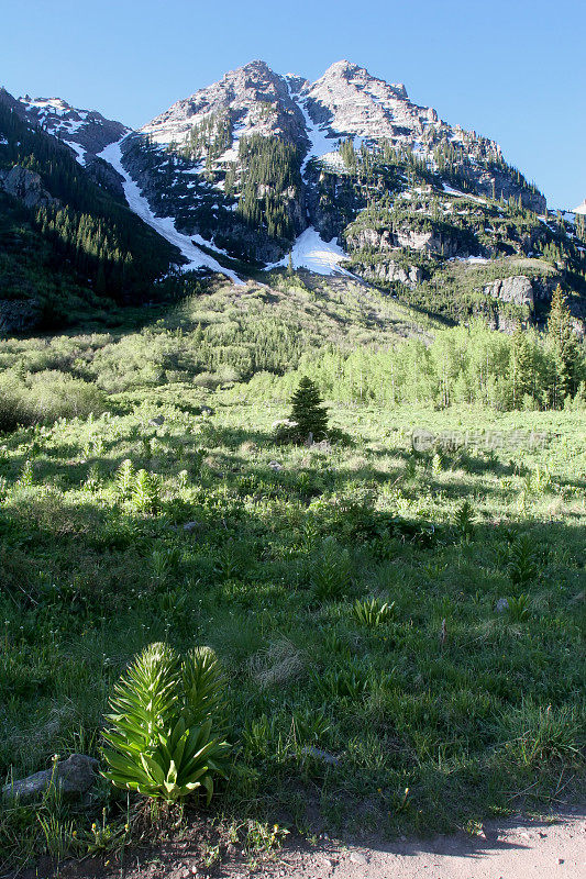 山和草地