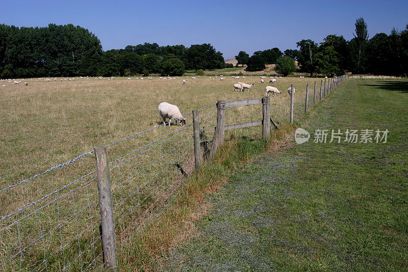 牧羊场及围栏