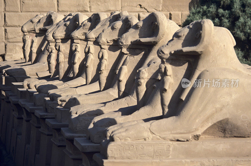 埃及卡纳克神庙公羊头狮身人面像大道
