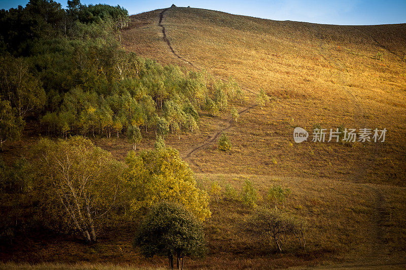 秋天的风景