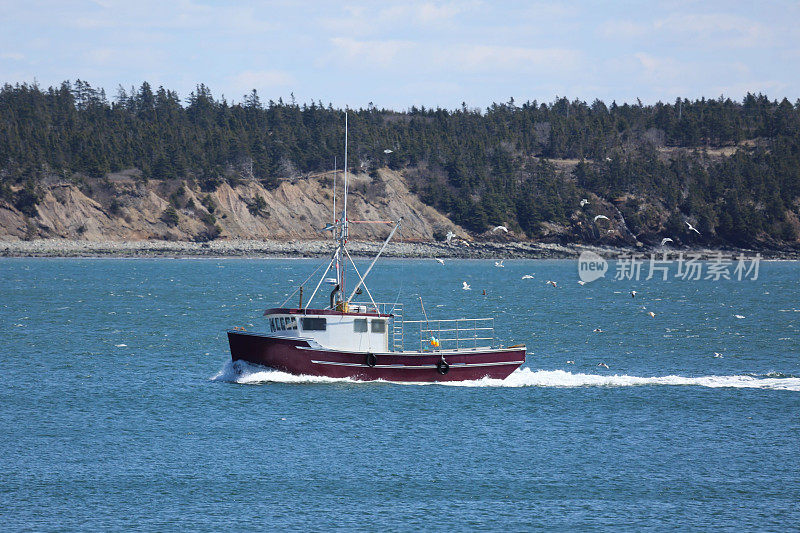加拿大新斯科舍省圣玛丽角的一艘船