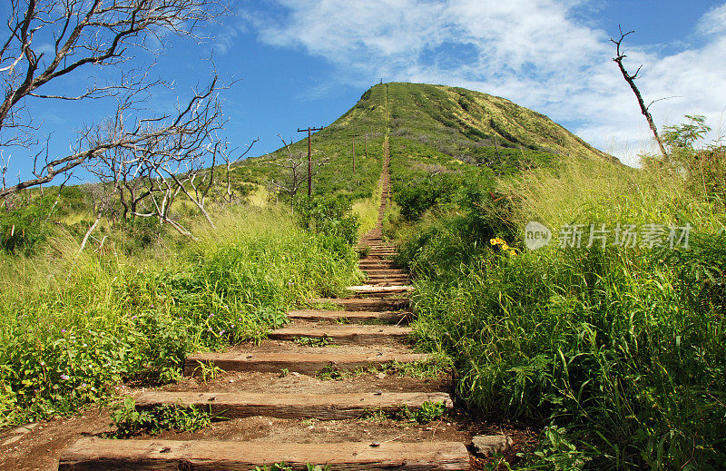 火山小径