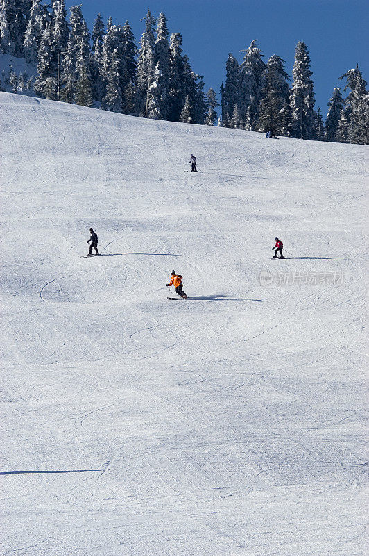 滑雪