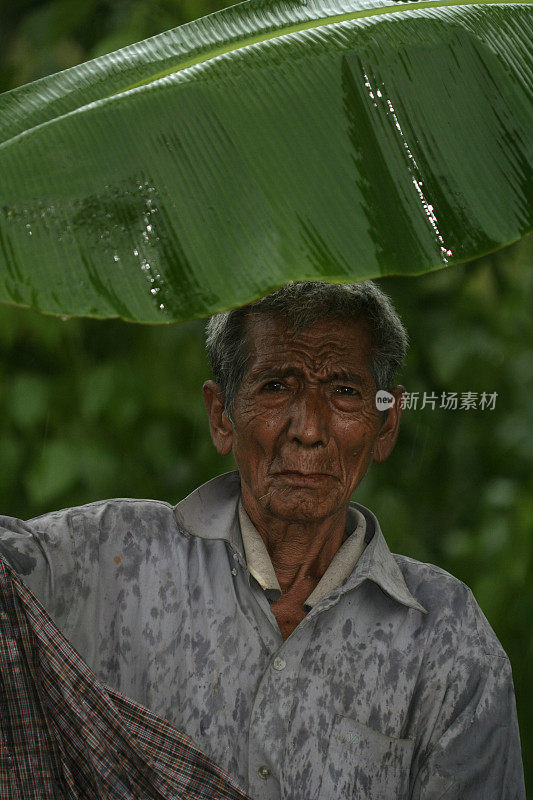 印度尼西亚松巴人