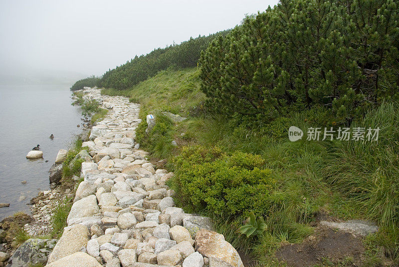 高山中的冰川湖