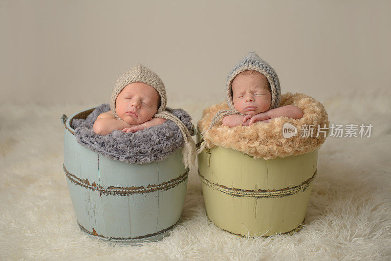 刚出生的双胞胎在桶里睡觉