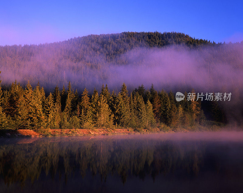 延龄湖的日出与雾(4x5胶片)