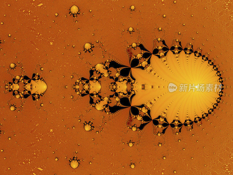 琥珀甲虫橙色斑点分形图案