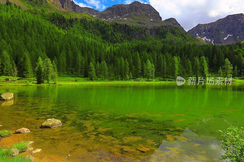 白云石高山湖泊，翠绿松林，意泰洛