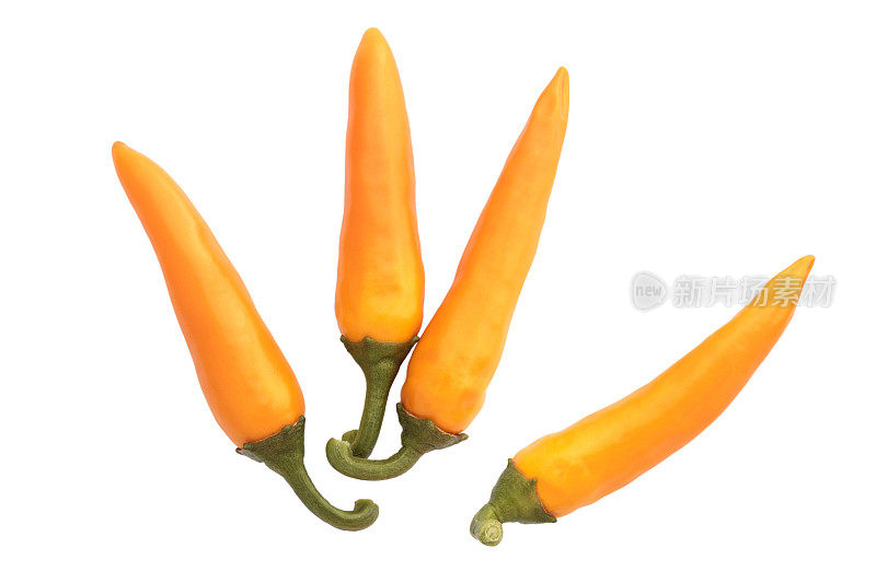 黄辣椒-保加利亚胡萝卜