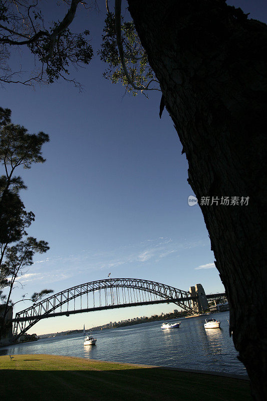 悉尼海港