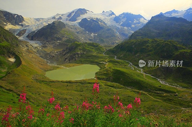 瑞士的阿尔卑斯山，田园诗般的湖，粉红色的野花花坛，苏斯滕帕斯，安德马特