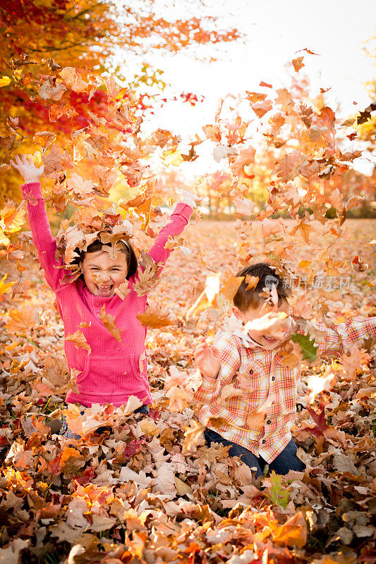可爱的小弟弟和小妹妹在秋天的树叶上玩耍
