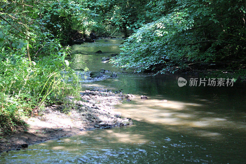 图像河床干涸，河流干涸，夏季干旱，没有雨水