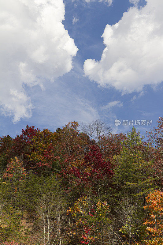 西弗吉尼亚秋天的颜色和云彩