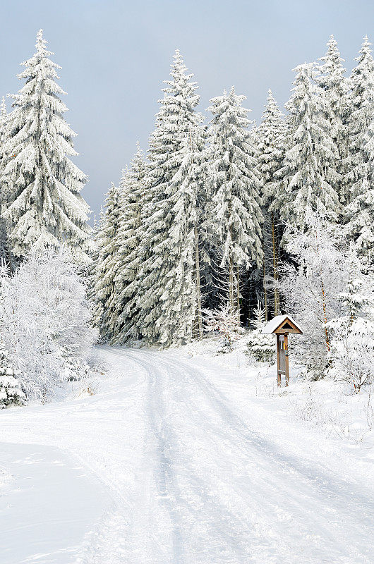 徒步旅行路线穿过冬天的森林和积雪