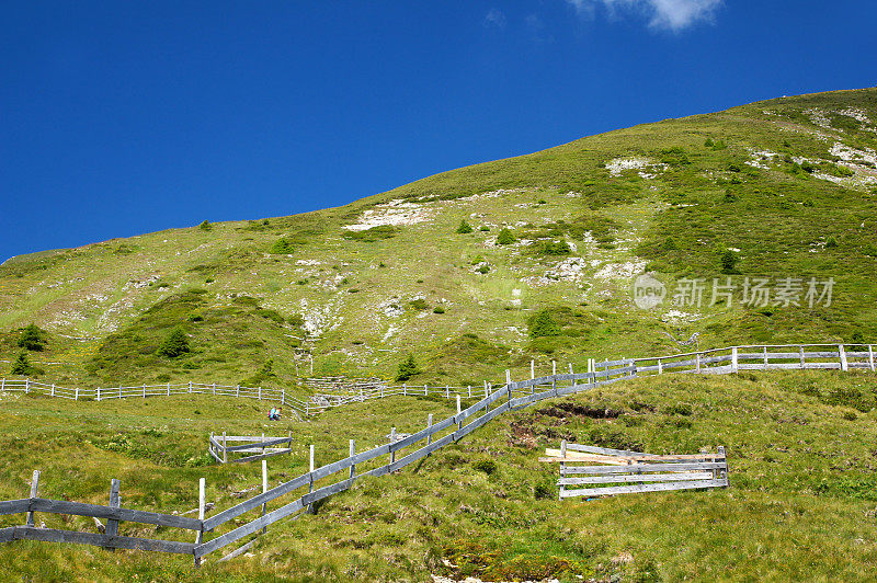 山上的草地