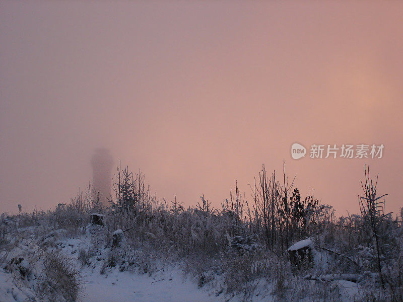 黑森林景观