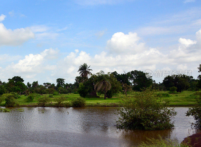 热带景观,冈比亚