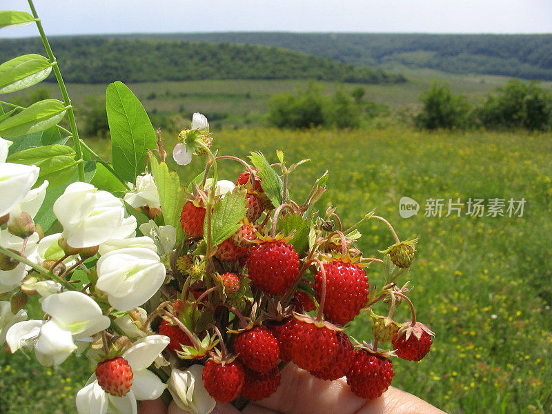 野草莓夏日花束