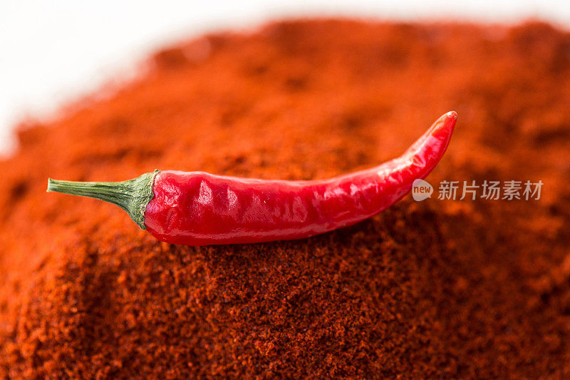 红辣椒，流行香料的概念-特写美味多汁的红辣椒豆荚孤立在红咖喱粉上，俯视图，平铺，选择性焦点