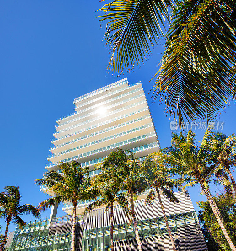 迈阿密高层公寓大楼与棕榈树低角度的观点