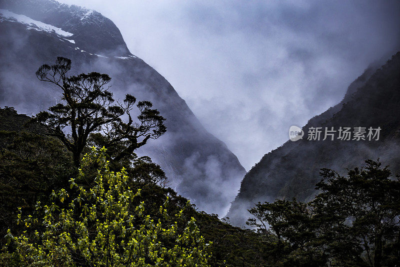 米尔福德声音山