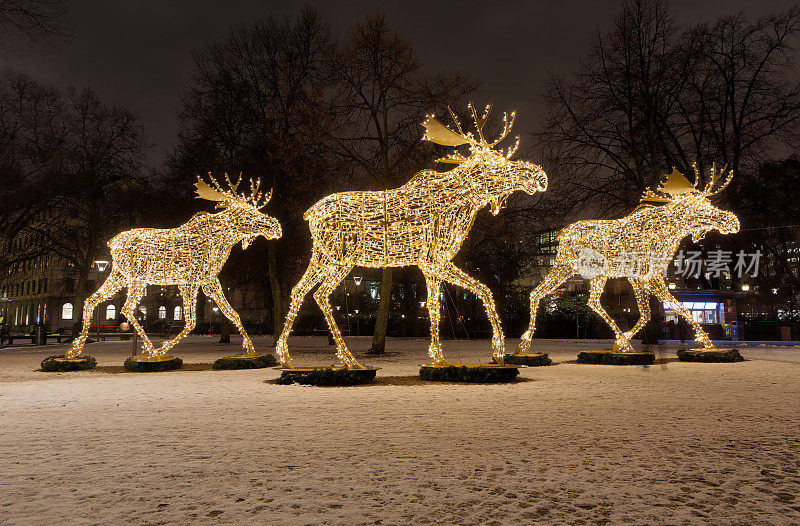 巨大的麋鹿或驼鹿圣诞装饰用led灯