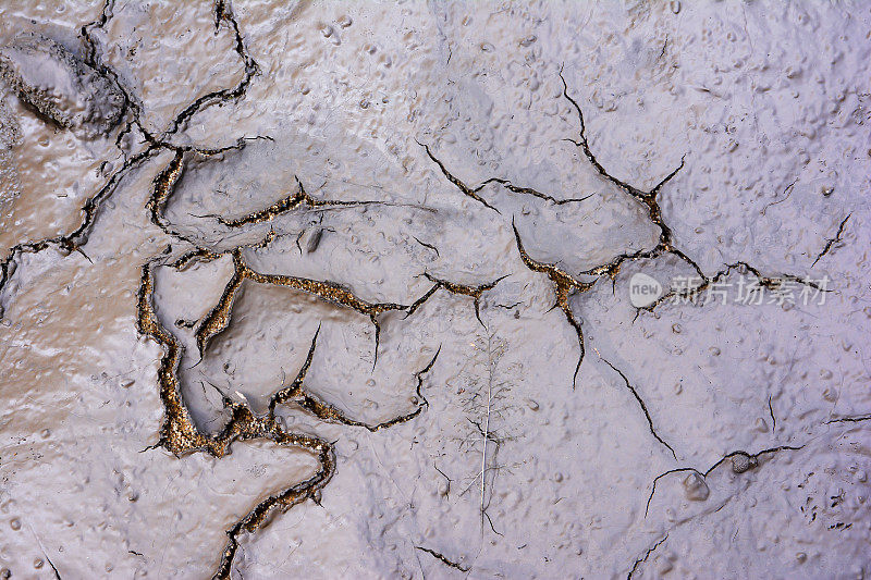 泥裂纹理背景。泥状裂纹表面结构